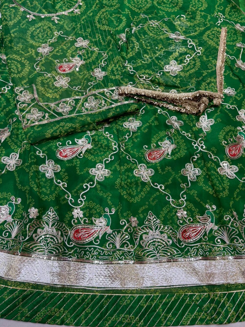 Regal Mor Design Poshak with Shimmering Zari Work & Jaal Odhna - Image 9